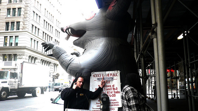 Union rat