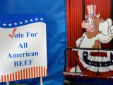 Sign saying 'Vote for all-American beef!'