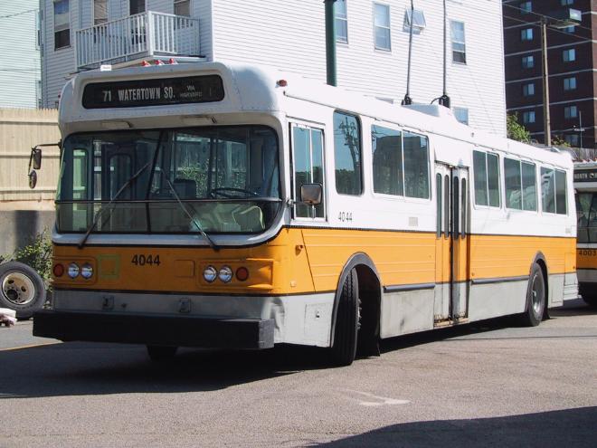 A white and yellow bus